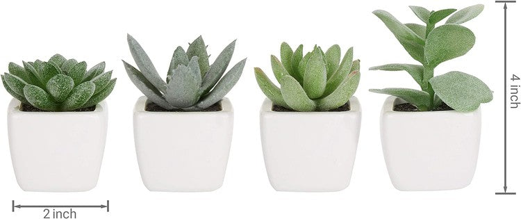 Set of 4 Mini Assorted Green Artificial Succulent Plants in Square White Glazed Ceramic Planter Pots-MyGift