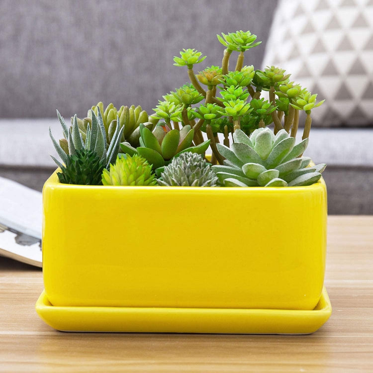Yellow Ceramic Square Succulent Planter with Removable Drainage Tray-MyGift