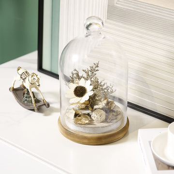 10-inch Glass Dome Bell Jar Cloche Display Case – MyGift