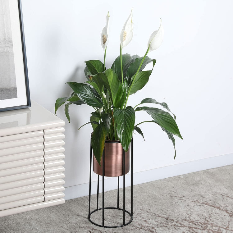 6 inch Modern Copper Flower Planter Pot with Industrial Black Metal Wire Display Stand-MyGift