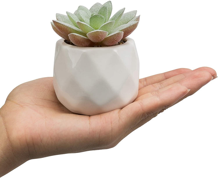 Faux Succulents in Geometric Ceramic Pots, Set of 6-MyGift