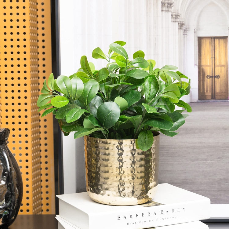 hammered brass plant pot Hammered Brass Plated Metal Cylindrical Succulent Planter Pots, Set of 2