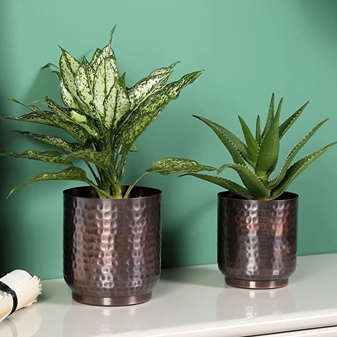 Metal Plant Pot with Glossy Hibiscus Print Pattern and Brass Interior, Colorful Flower Pot and Succulent Planter Container, Set of 2