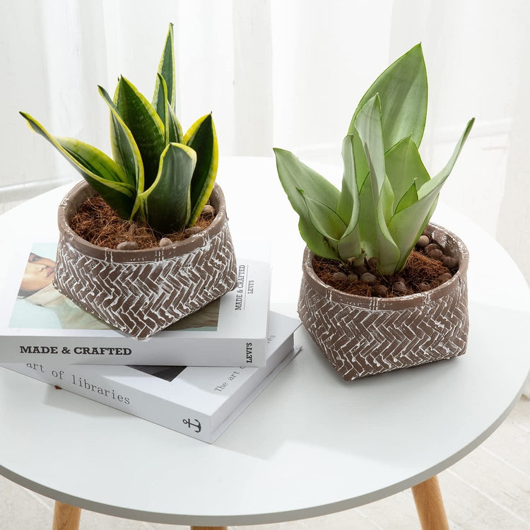 Set of 2, 6-Inch Brown Concrete Indoor Plant Pots with Rattan Design, Small Planters Succulent Cactus Container-MyGift