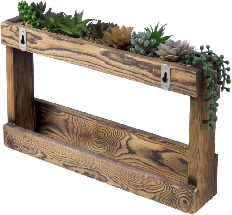 Wall Mounted 8-Hook Brown Wood Coffee Mug and Tea Cup Rack, Mug Hooks with Artificial Assorted Succulent Plants-MyGift
