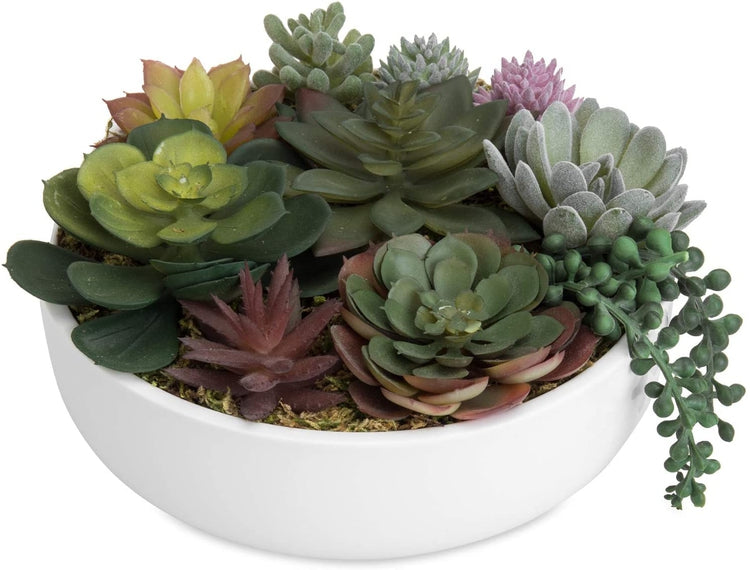 8-Inch Modern Assorted Artificial Succulent Plants with White Round Ceramic Planter Pot-MyGift