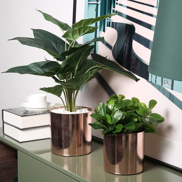 Set of 2, Brushed Copper Plated Metal Cylindrical Planter Pots-MyGift