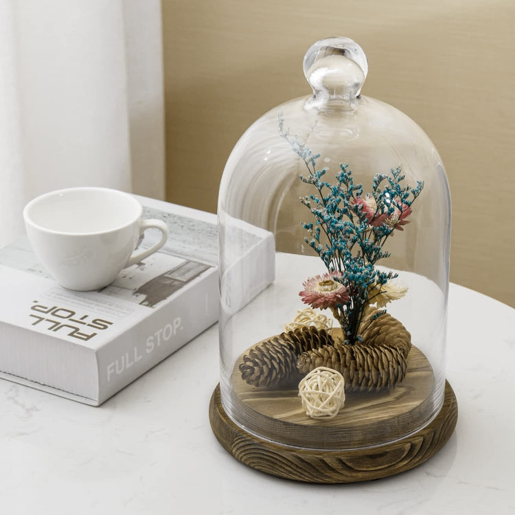 10-inch Glass Dome Bell Jar Cloche Display Case, Wood Base with Burnt and Dark Burnt Finishes-MyGift