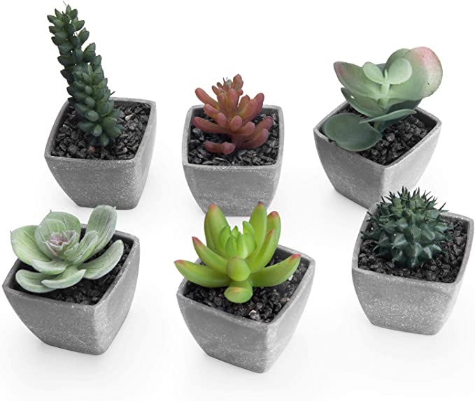 Miniature Artificial Succulents in Square Gray Planters, Fake House Plants, Set of 6-MyGift
