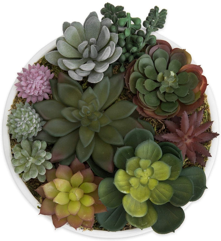 home depot succulents pots 8-Inch Modern Assorted Artificial Succulent Plants with White Round Ce – MyGift