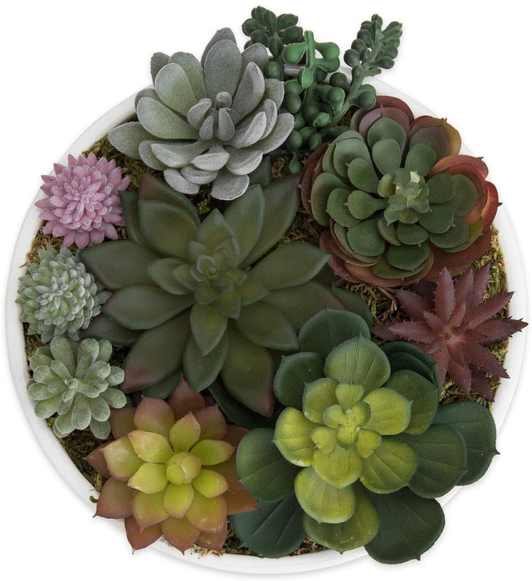 8-Inch Modern Assorted Artificial Succulent Plants with White Round Ceramic Planter Pot-MyGift