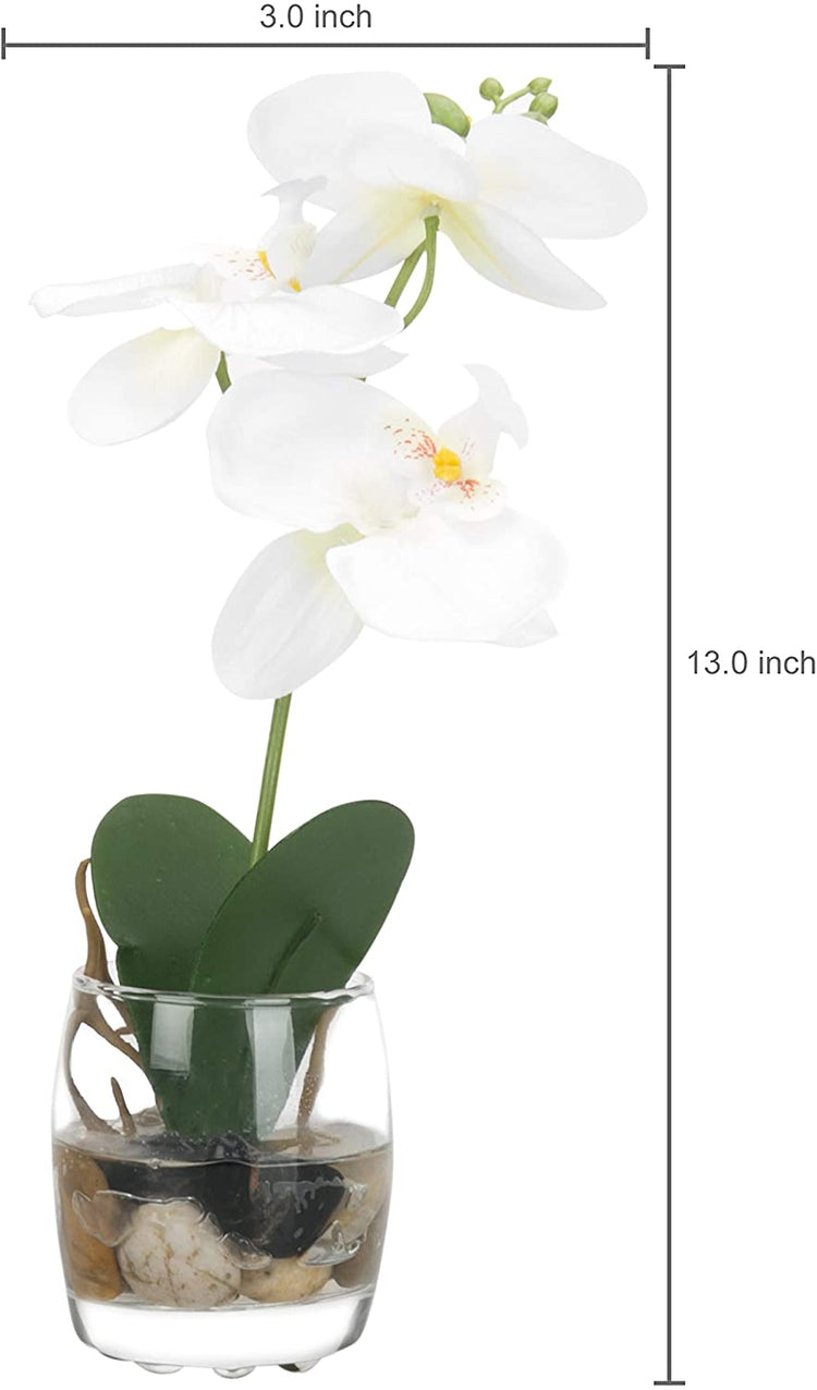 White Mini Synthetic Silk Artificial Phalaenopsis Orchid in Glass Vase-MyGift