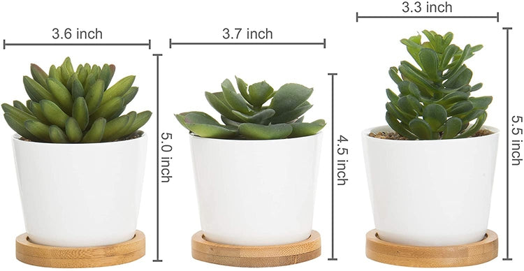 Set of 3 Artificial Succulent Plants in White Ceramic Pots with Bamboo Trays-MyGift