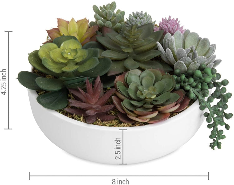 8-Inch Modern Assorted Artificial Succulent Plants with White Round Ceramic Planter Pot-MyGift