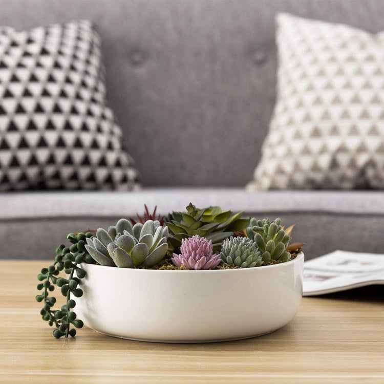 8-Inch Modern Assorted Artificial Succulent Plants with White Round Ceramic Planter Pot-MyGift