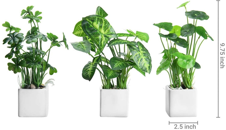 Set of 3, Assorted Artificial Plants in White Square Ceramic Pots-MyGift