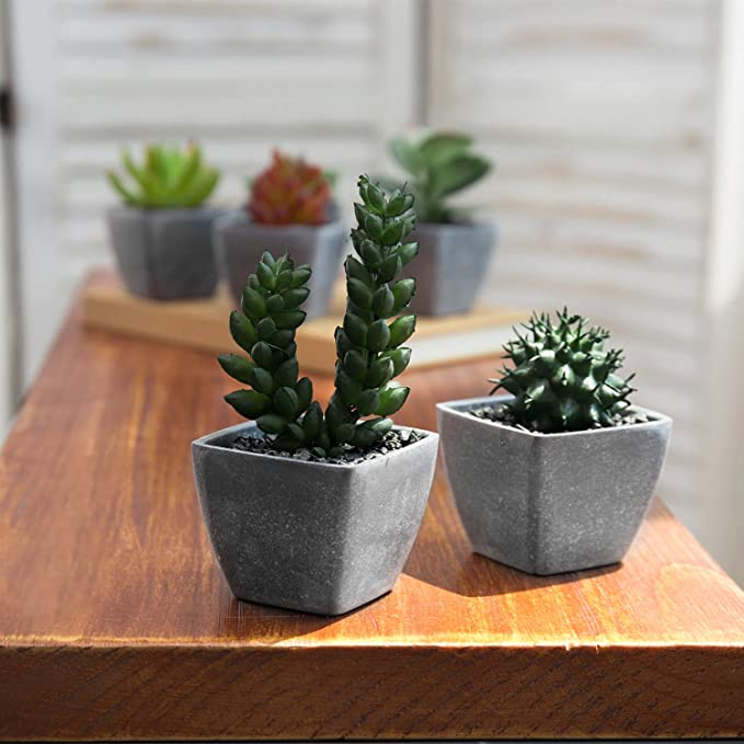 Miniature Artificial Succulents in Square Gray Planters, Fake House Plants, Set of 6-MyGift
