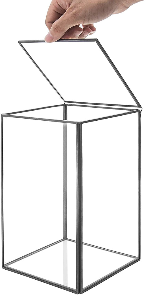 Clear Glass Plant Terrarium with Black Metal Frame, Shadow Box-MyGift