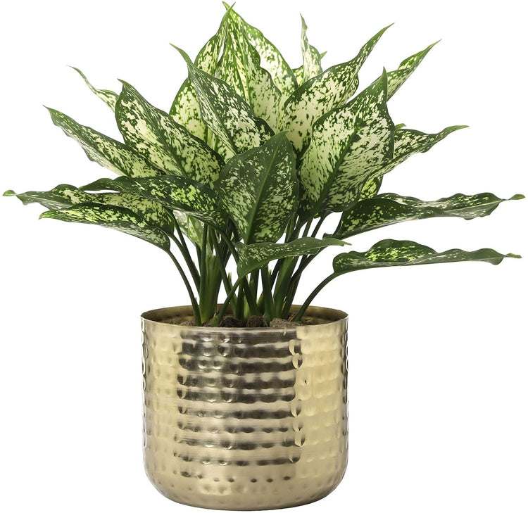 6-Inch Metal Planter Brass Tone Flower Pot with Hammered Texture, Succulent Planter, Cylindrical Indoor Plant Container-MyGift