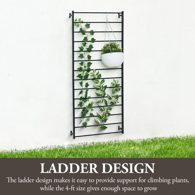 Matte Black Metal Wall Mounted Trellis, Outdoor Hanging Support Frame for Climbing Garden Plants and Crawling Vines-MyGift