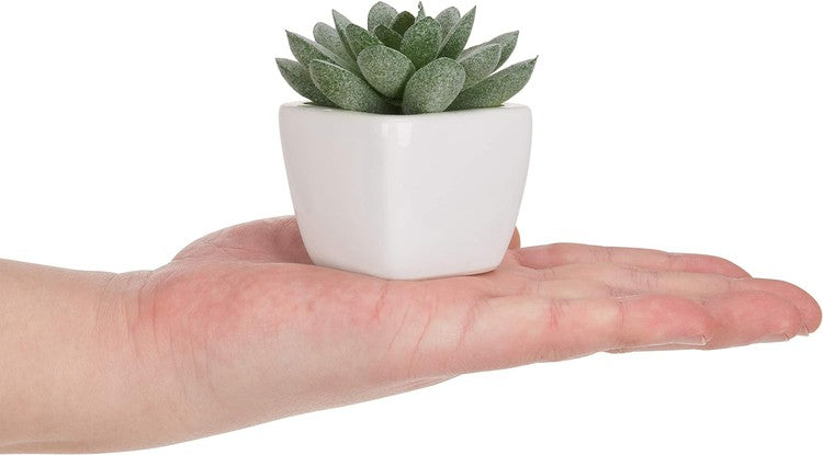 succulent plastic plants Mini Assorted Artificial Succulent Plants in White Ceramic Pots, Set of 4