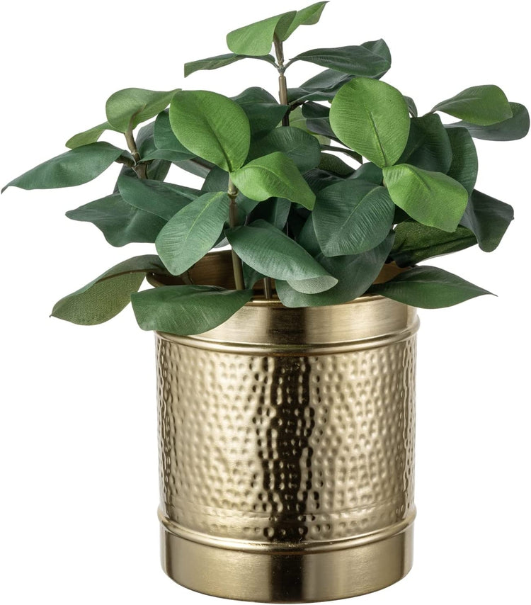 6.5 Inch Hammered Brass Tone Metal Planter Pot with Embossed Ring Design, Decorative Plant Container-MyGift