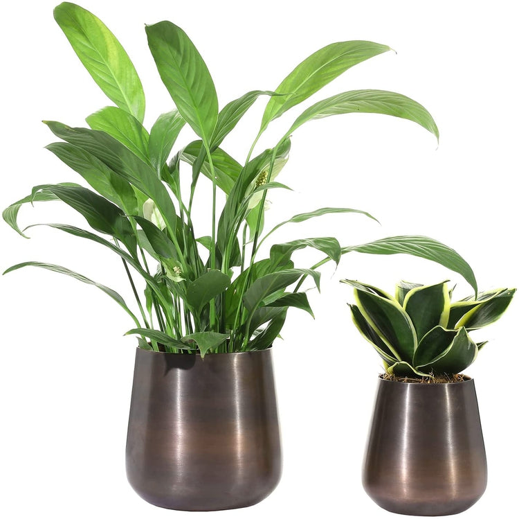 Set of 2, Flower Vase Copper Tone Brushed Metal Tapered Cylindrical Planter, Decorative Indoor Plant Pot-MyGift