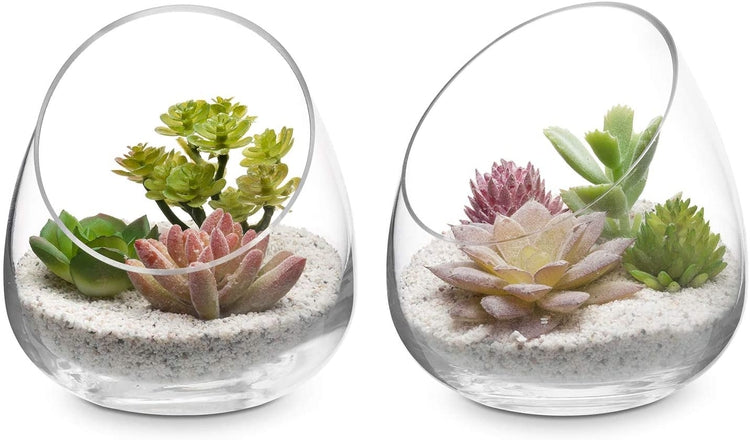 succulents in votives Decorative Round Clear Glass Plant Terrariums, Ornament Display Flower Vases, Set of 2