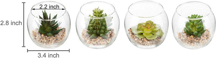 Set of 4 Mini Assorted Artificial Succulents in Round Glass Vases-MyGift