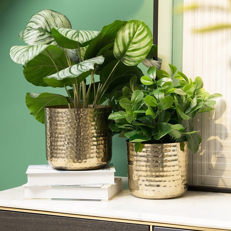 gold hammered plant pot Hammered Brass Plated Metal Cylindrical Succulent Planter Pots, Set of – MyGift