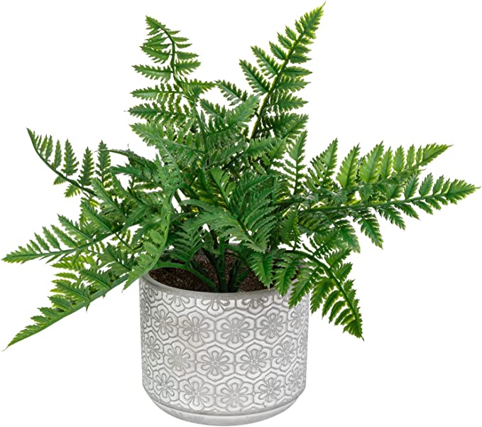Fake House Plant, Artificial Boston Fern Potted in Embossed Concrete Planter Pot with Fillers-MyGift