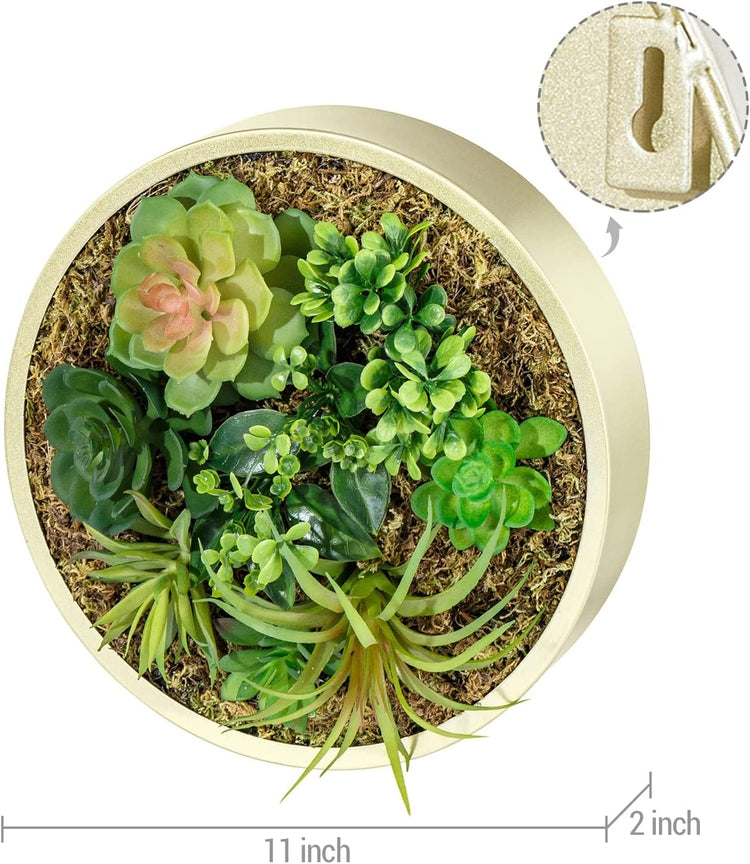 Artificial Plant Arrangement, Wall-Mounted Planter with Brass Tone Metal Round Box Frame-MyGift