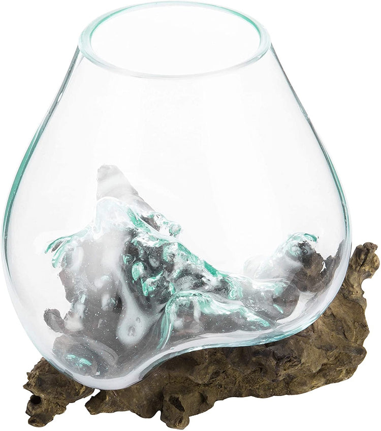 Handcrafted Natural Driftwood Sculpture and Clear Molten Glass Bowl Plant Terrarium-MyGift