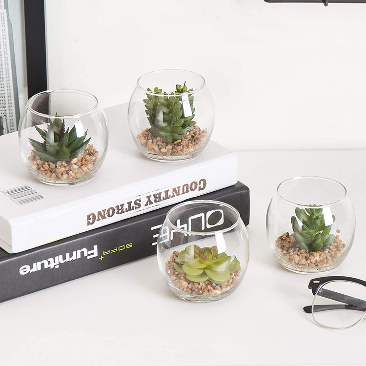 Set of 4 Mini Assorted Artificial Succulents in Round Glass Vases-MyGift