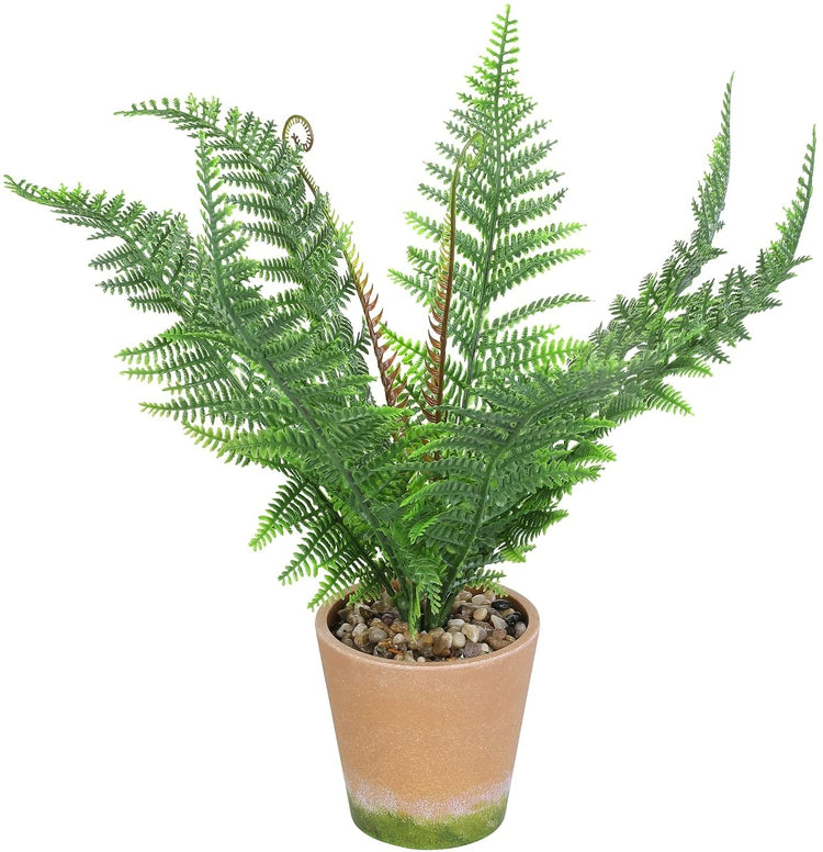Tabletop Faux Macho Fern Plant Artificial House Plants in Decorative Terracotta Design Pot with Rock Fillers-MyGift