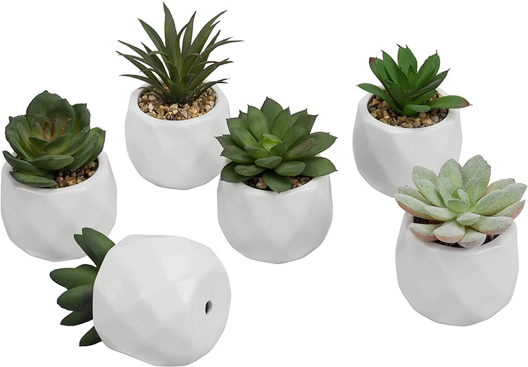 Faux Succulents in Geometric Ceramic Pots, Set of 6-MyGift