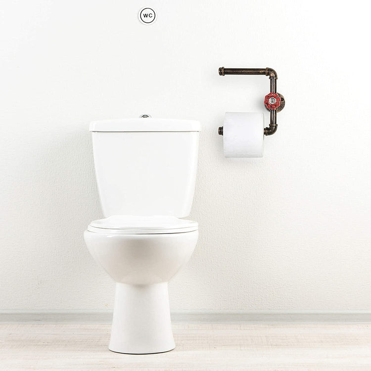 Bronze Wall Mounted Industrial Pipe Faucet Design Dual Toilet Paper Roll Holder-MyGift