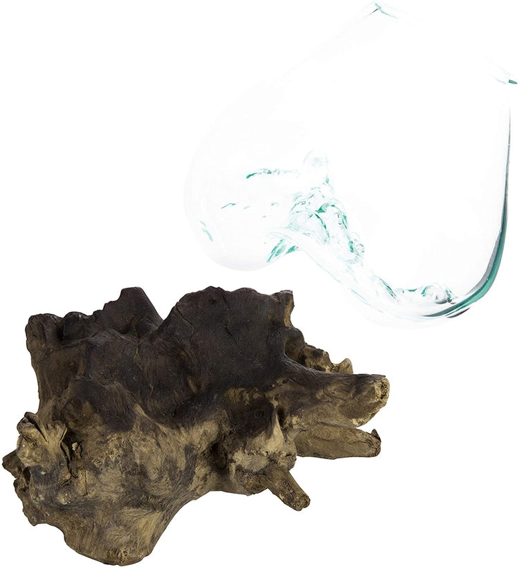 Handcrafted Natural Driftwood Sculpture and Clear Molten Glass Bowl Plant Terrarium-MyGift