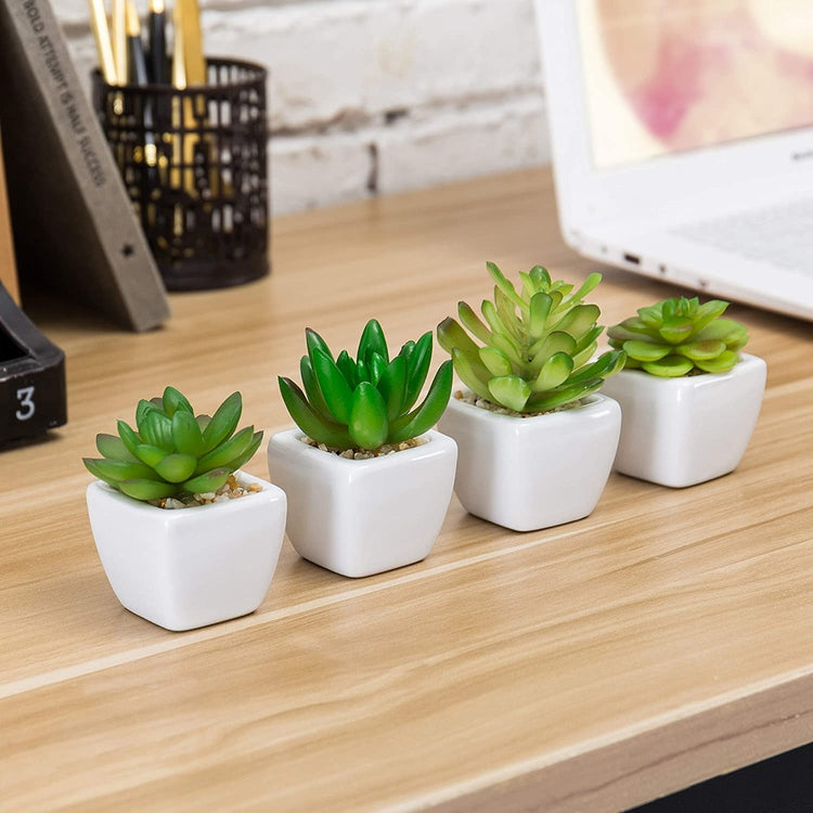 mini succulent pots set of 4 Mini Artificial Succulent Plants in White Ceramic Pots, Set of 4