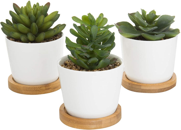 Set of 3 Artificial Succulent Plants in White Ceramic Pots with Bamboo Trays-MyGift