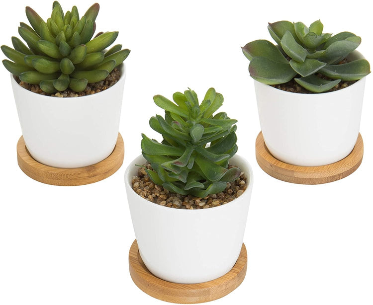Set of 3 Artificial Succulent Plants in White Ceramic Pots with Bamboo Trays-MyGift