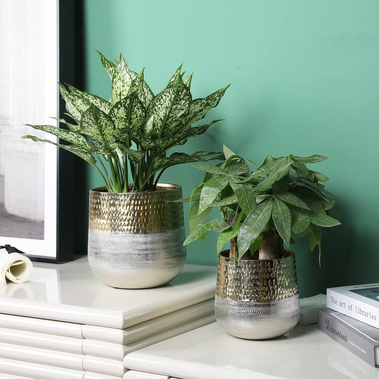 brass indoor plant pots Round Indoor Planter Pot, Hammered Brass and Milled Embossed Silver Tone Metal Planter, Set of 2