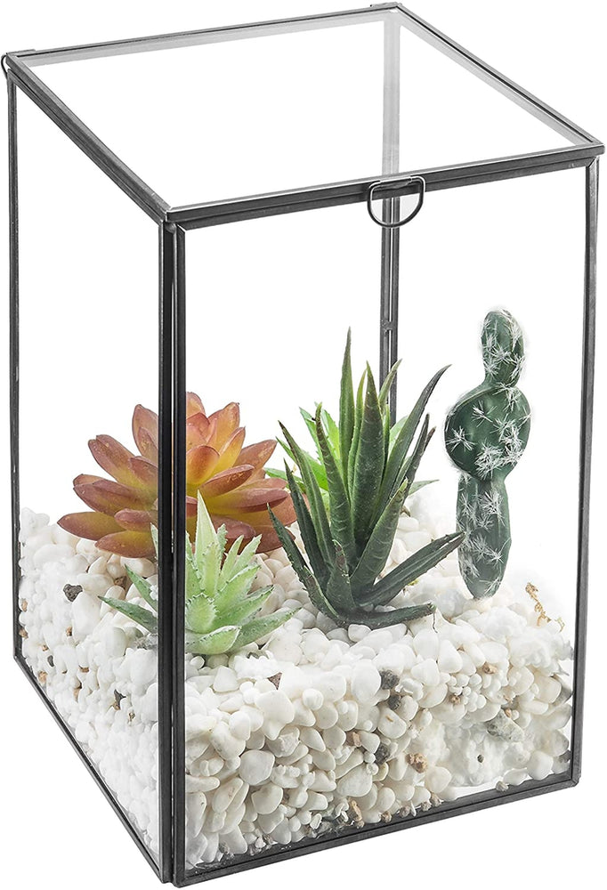 Clear Glass Plant Terrarium with Black Metal Frame, Shadow Box-MyGift