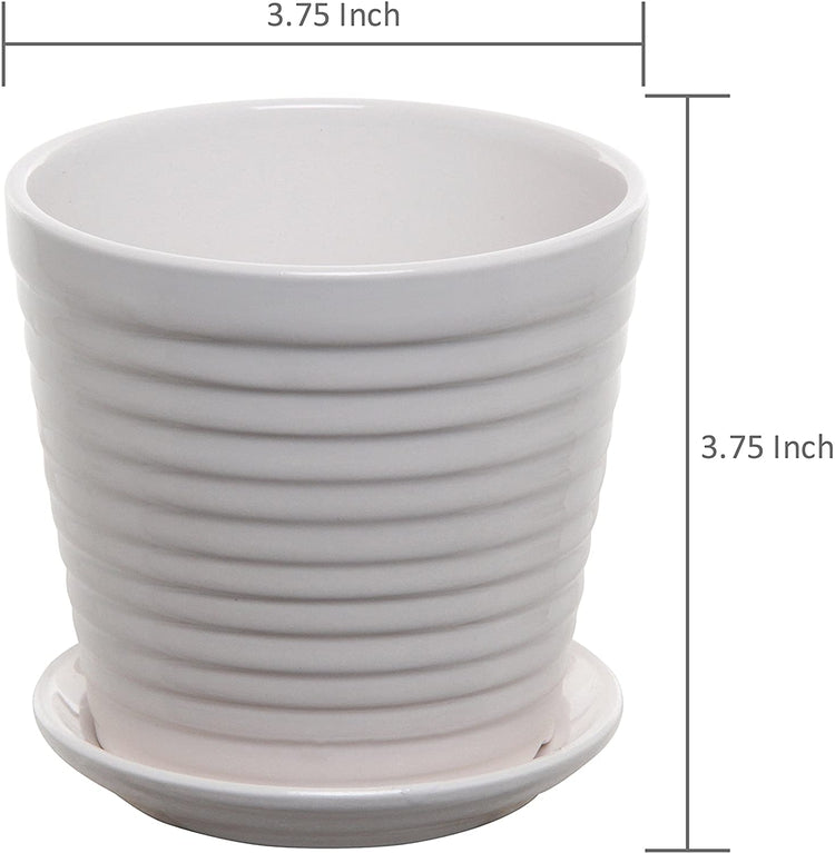 Set of 2, White Ceramic Ribbed Round Succulent Plant Pots-MyGift