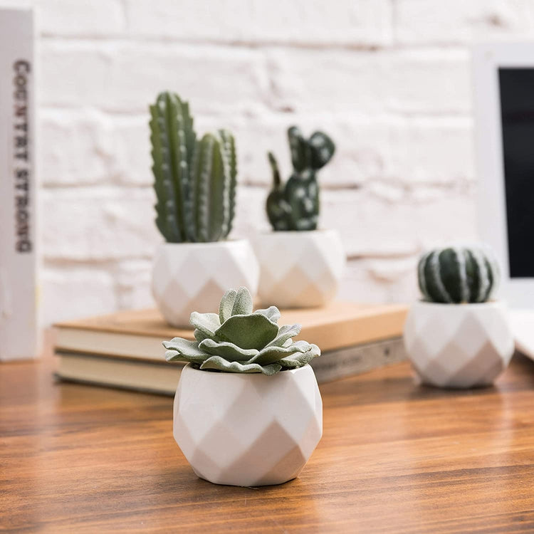 Set of 4 Miniature Assorted Artificial Cactus & Succulent Plants in White Geometric Ceramic Planters-MyGift
