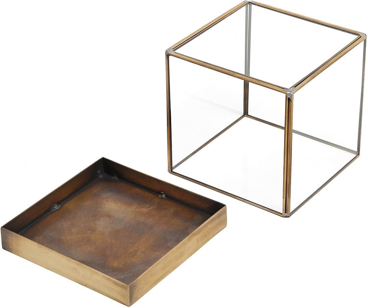 5 inch Glass Plant Terrarium, Lidded Shadow Box with Vintage Brass Frame-MyGift