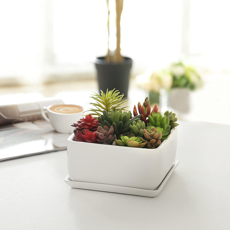 Modern 7 inch Square White Ceramic Succulent Planter Pot with Drainage Tray, Window Box & Saucer-MyGift