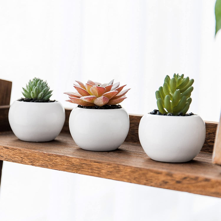 Set of 3 Mini Artificial Succulent Plants in White Ceramic Pots-MyGift