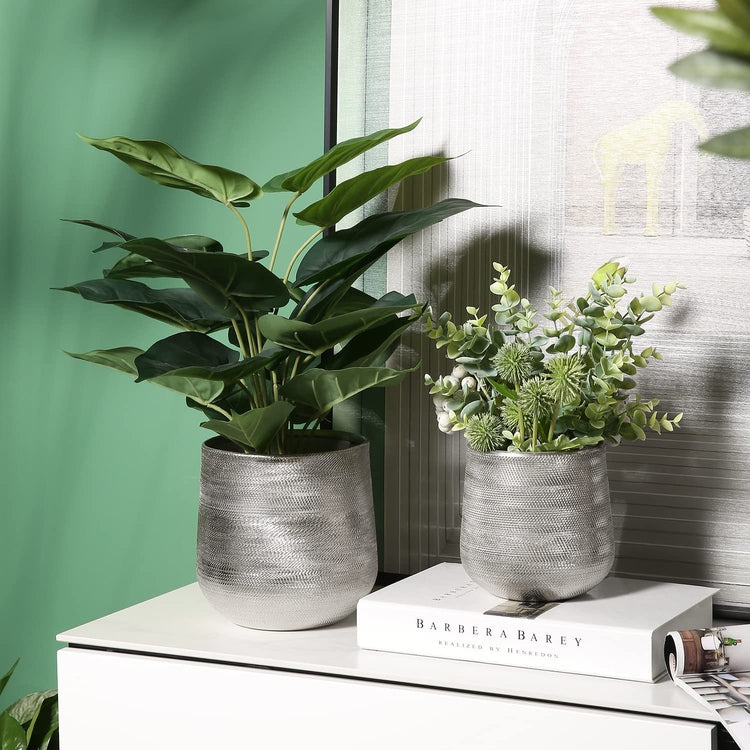 Plant Pot Design