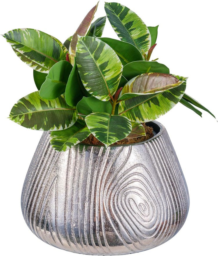 Tabletop Round Silver Plant Holder, Decorative Flower Pot Planter Container-MyGift
